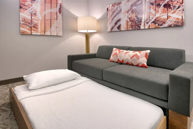 Studio, Suite, King Bed, Sofa, Springhill Suites By Marriott Grand Island 3/10