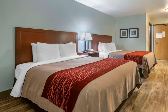غرفة بسريرين كوين يُسمح فيها بالحيوانات الأليفة، SureStay Plus Hotel by Best Western Buffalo 1/5