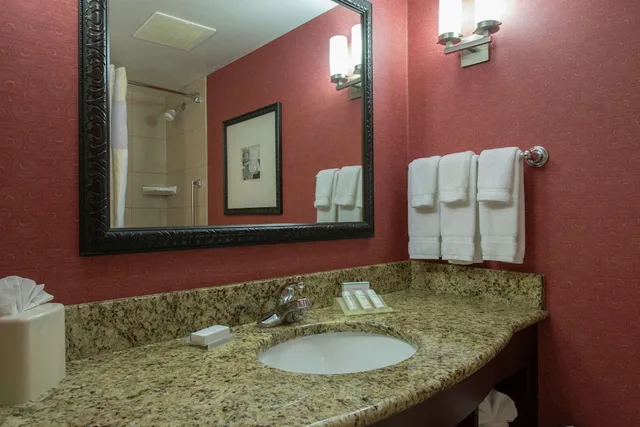 Evolution, King Bed، Hilton Garden Inn Tupelo Ms 3/5