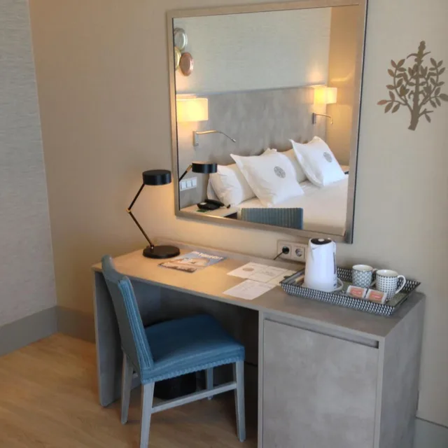 Deluxe, Double or Twin Bed, Terrace, America Sevilla 5/9