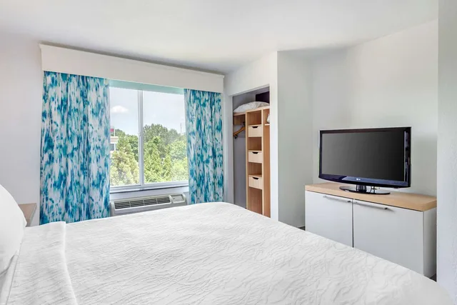 1 King Bed Deluxe with Sofabed, Hilton Garden Inn Atlanta Ne Gwinnett 4/7