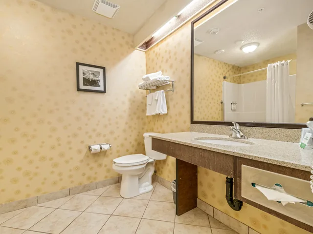 غرفة بسرير كينج مع أريكة، HOLIDAY INN LETHBRIDGE 2/2