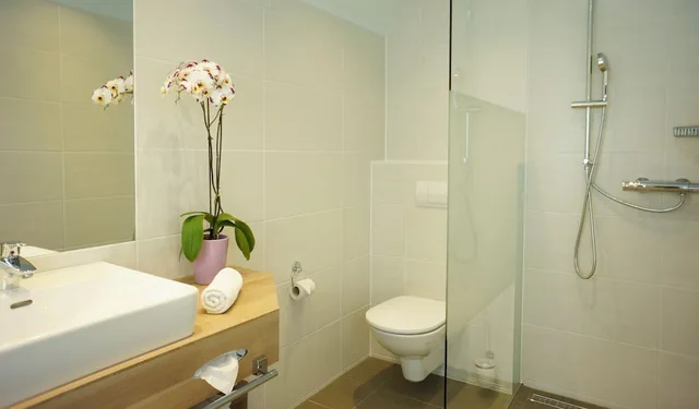 2 Bedrooms, Family, Bungalow, 1 King and 1 Single Beds, VILA VITA Pannonia 2/2