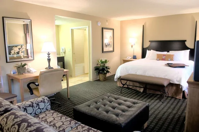 جناح استوديو بسرير كينج مع أريكة، Hampton Inn & Suites Mobile Providence Park/Airport 2/2