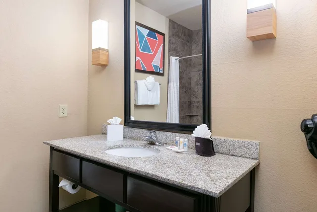 جناح بسرير كينج، Comfort Suites Arlington - Entertainment District, TX 3/3