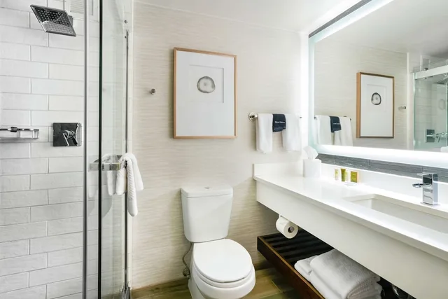 غرفة بريميير ركنية بسرير كينج، Hilton Denver City Center 3/3