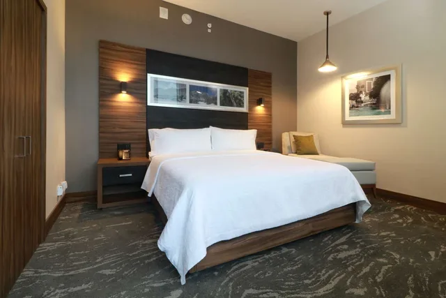 جناح جونيور ديلوكس، Hilton Garden Inn Monterrey Obispado 1/3