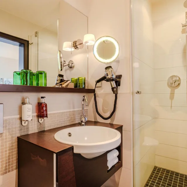 Plus, Economy, Double Bed، Ritter Durbach Hotel 9/9