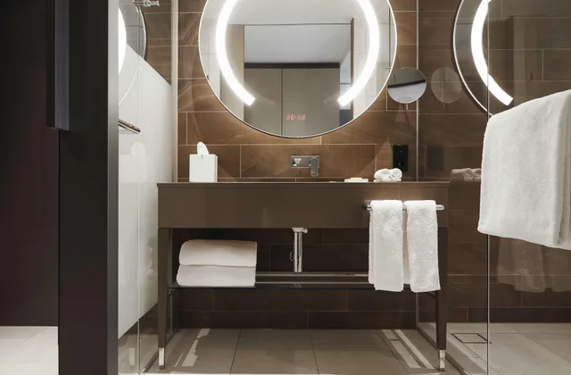 غرفة قياسية بسرير مزدوج، Hyatt Regency Amsterdam 5/5