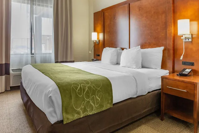 جناح بسرير كينج، Comfort Suites Dover University Area 1/3