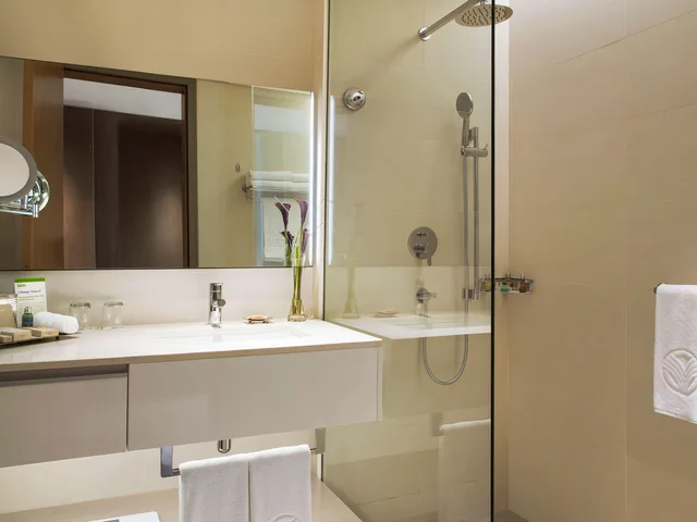 جناح ديلوكس، Novotel Muscat Airport 2/2