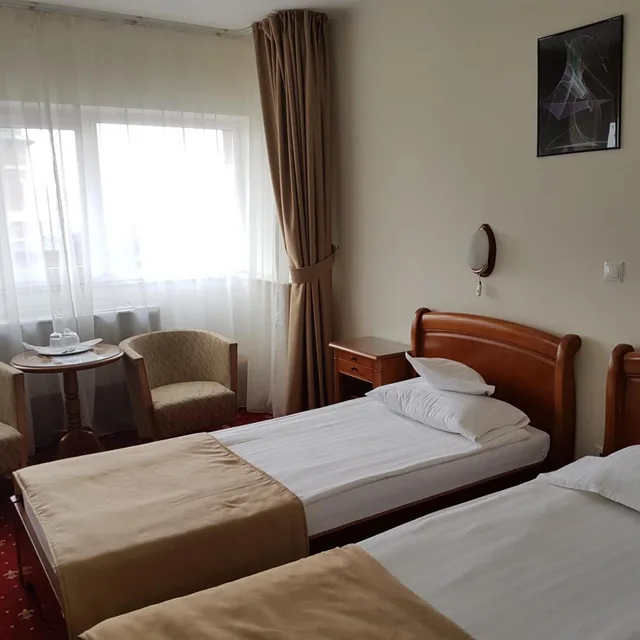 Room, Twin Beds, Palace View، Hotel Moldova 4/10