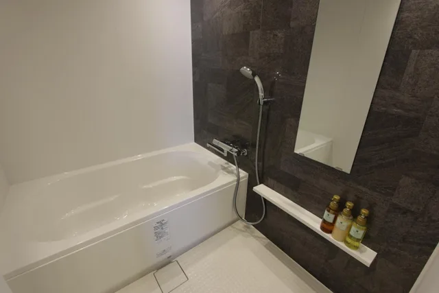 Renovated, Double Bed, Electronic Cigarette Only، Hotel New Gaea Nishikumamoto Ekimae 6/10