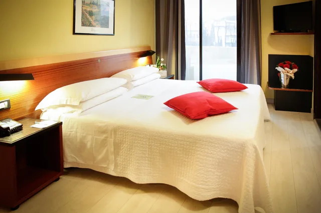 غرفة كومفورت بسرير مزدوج أو سريرين منفصلين، Art Hotel Milano 6/10