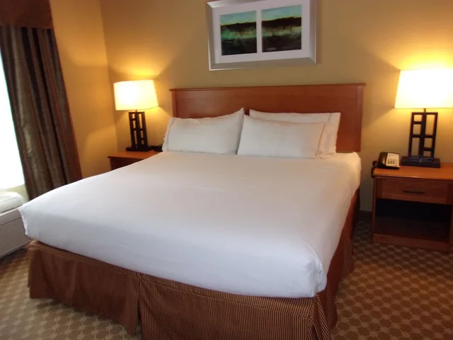 جناح بسرير فردي بغرفة نوم واحدة بحوض استحمام، Holiday Inn Express Suites Chicago West Roselle 1/3