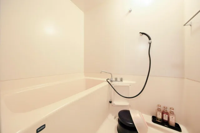 Japanese, Superior, Mountain View, Outdoor Bath، Lakeland Hotel Mizunosato 4/4