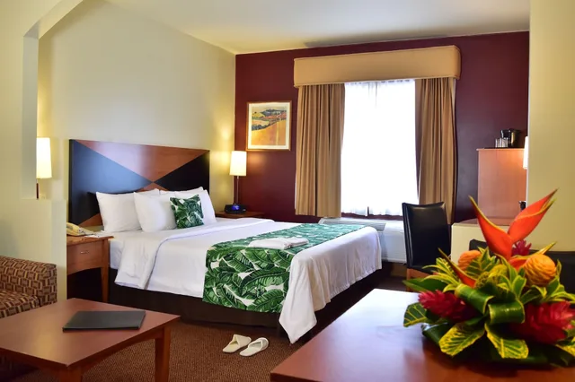 جناح بسرير كينج مع أريكة، Sleep Inn Hotel Paseo Las Damas 1/8