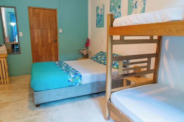 غرفة كومفورت رباعية بسرير بطابقين وسرير كوين، Tayrona Juancho House Hostel 1/4