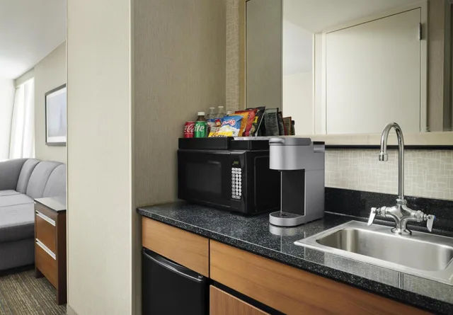 جناح بريميوم بسرير كينج بغرفة نوم واحدة مع أريكة، Embassy Suites by Hilton Chicago Downtown Magnificent Mile 6/6