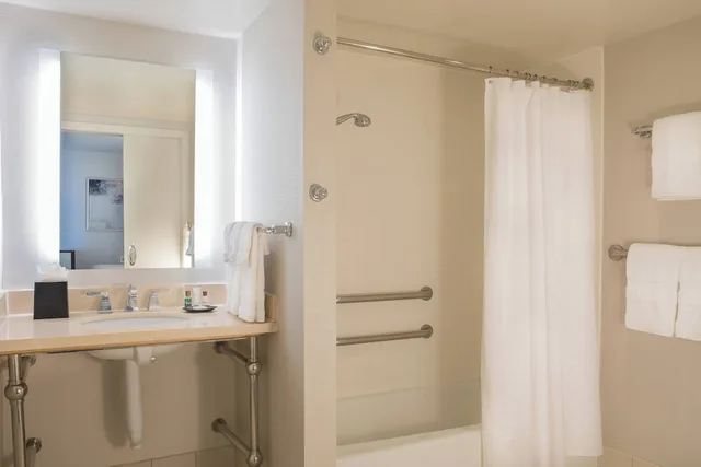 جناح كلوب بغرفة نوم واحدة، Sheraton Suites Chicago Elk Grove 4/4
