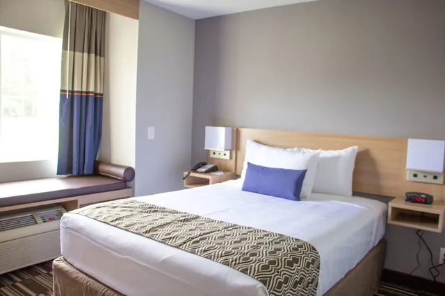 جناح استوديو بسرير كينج لذوي الإعاقة، Microtel Inn Suites By Wyndham Camp Lejeune Jacksonville 1/5