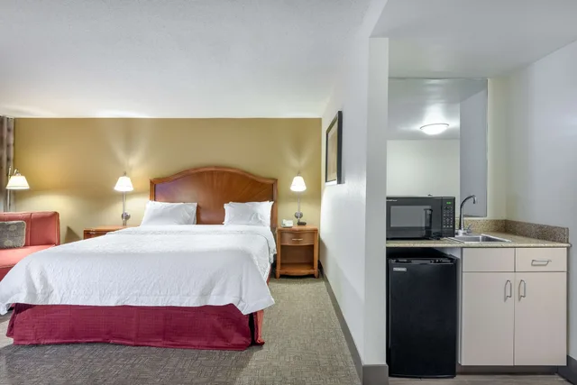 Deluxe, King Bed, Sofa, Hampton Inn Roanoke/Hollins - I-81 5/7