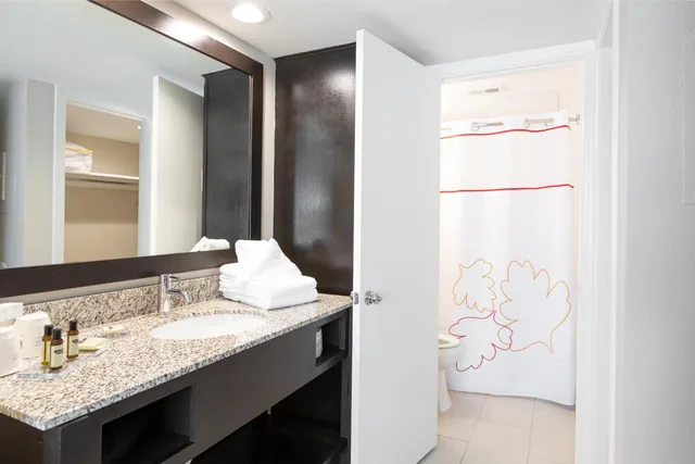 جناح ديلوكس بسرير كينج مع أريكة، Craigshire Suites - Arlington 6/9