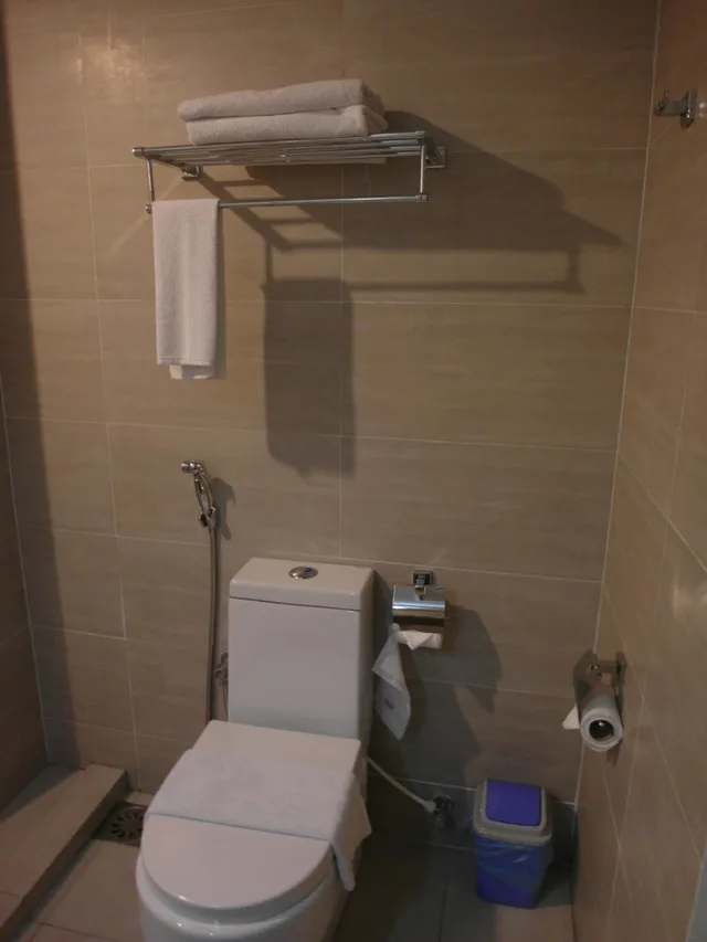 Superior, Double Bed, No Window، Ipoh French Hotel 5/5