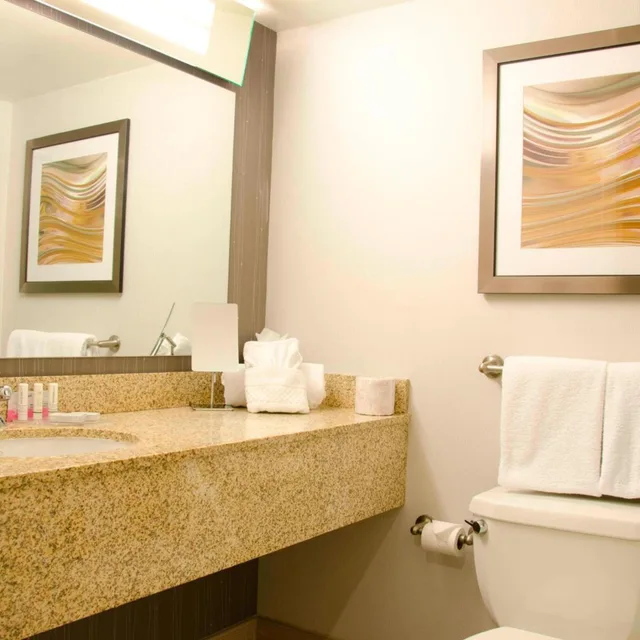 غرفة بسرير كينج مع أريكة بحوض استحمام لذوي الإعاقة، Courtyard By Marriott Waterbury Downtown 2/2