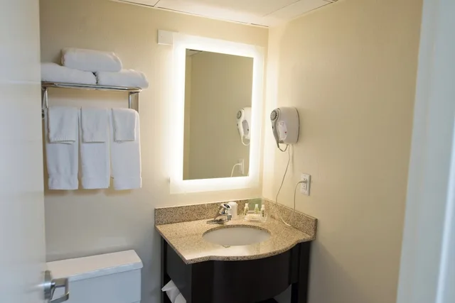 غرفة قياسية بسرير فردي، Holiday Inn Birmingham-Airport 3/3