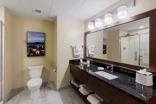 جناح بسرير كينج مع أريكة بمطبخ، Best Western Plus St. John s Airport Hotel and Suites 4/8