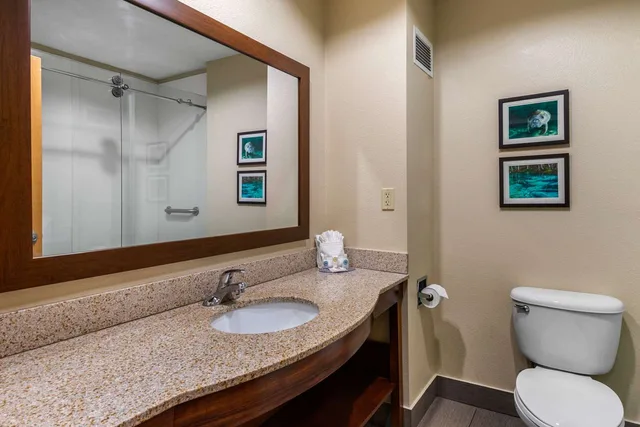 جناح بسرير كينج لذوي الإعاقة، Sleep Inn Suites Wildwood the Villages 7/7