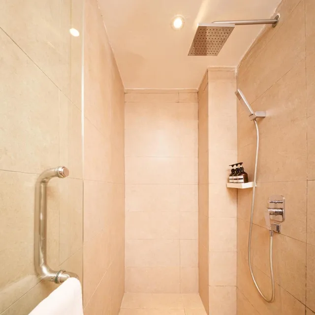 لوفت بريميير، The Mesui Hotel 8/8