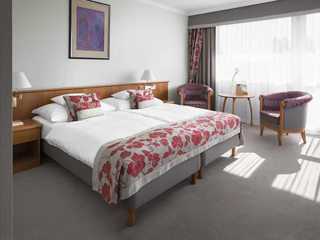 Superior, Double Bed, Hotel Carbona Thermal Spa 2/2