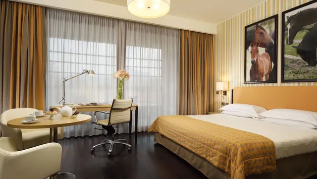 غرفة ديلوكس بشرفة مفردة بسرير مزدوج، Unahotels Varese 1/1