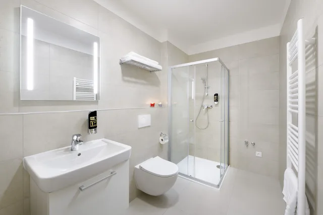 1 Bedroom, Exclusive, Apartment, Queen Bed, Sofa, DownTown Suites Kodanska 3/3