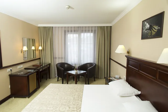 غرفة قياسية بسرير مزدوج، Topkapi Inter Istanbul Hotel 1/10