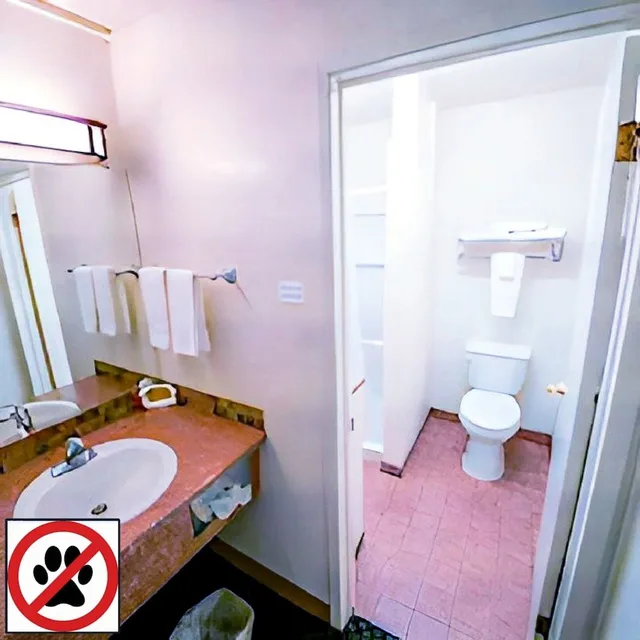 غرفة بسرير كينج يُسمح فيها بالحيوانات الأليفة، Gateway Inn 10/10