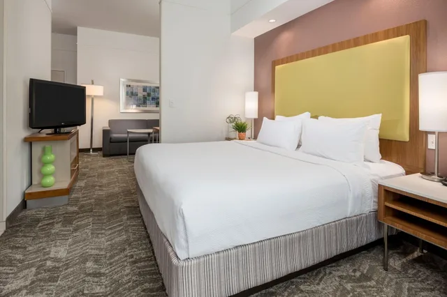 استوديو بسرير كينج، Springhill Suites By Marriott Lafayette South At River Ranch 1/3