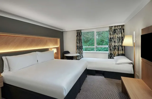 غرفة تنفيذية بسرير كينج مع أريكة بحوض استحمام، Hilton Cobham 1/4