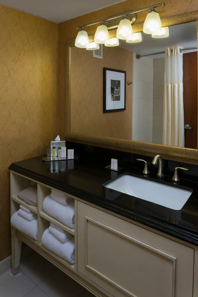 غرفة بسرير مزدوج، DoubleTree by Hilton Hotel Asheville Biltmore 2/2