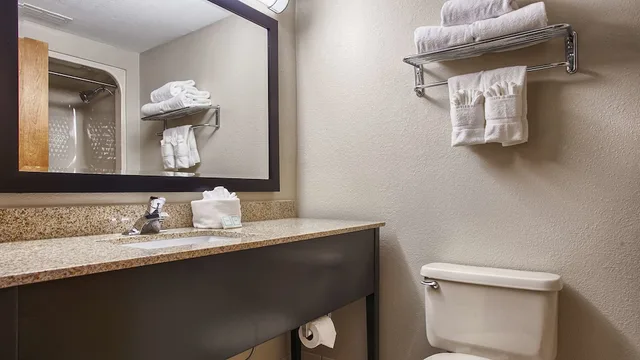 غرفة قياسية بسرير كينج، Best Western Executive Inn & Suites 7/8