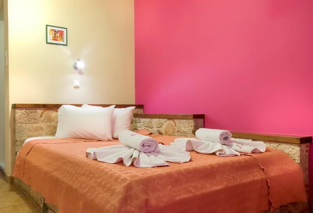غرفة اقتصادية بسرير مزدوج أو سريرين منفصلين، Aktaion Hotel 5/10