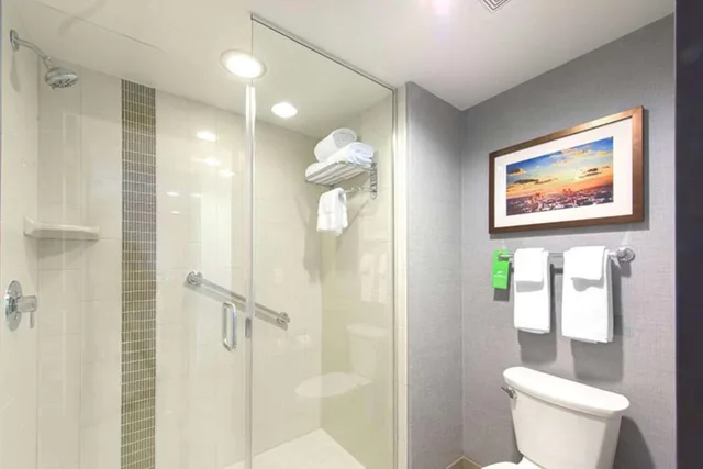 غرفة بسرير كينج بإطلالة على الجبل مع أريكة، Doubletree By Hilton Asheville Downtown 8/8