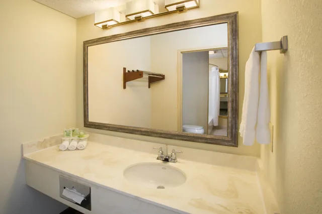 غرفة قياسية بسرير فردي، Holiday Inn Express & Suites Columbus Airport 3/3