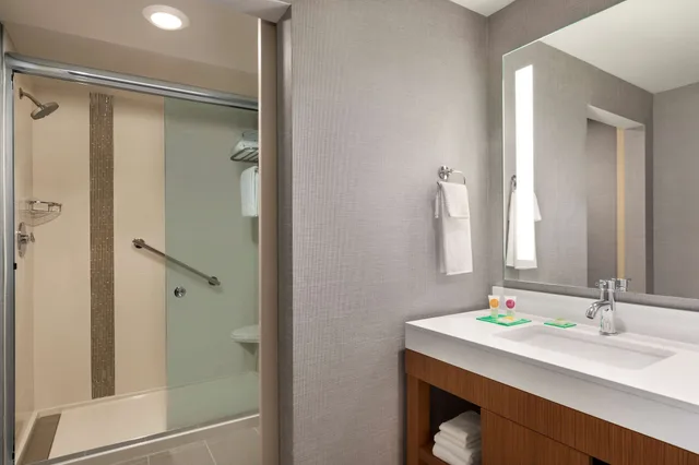 Room, King Bed, Sofa, Hyatt Place Virginia Beach Town Center 2/4