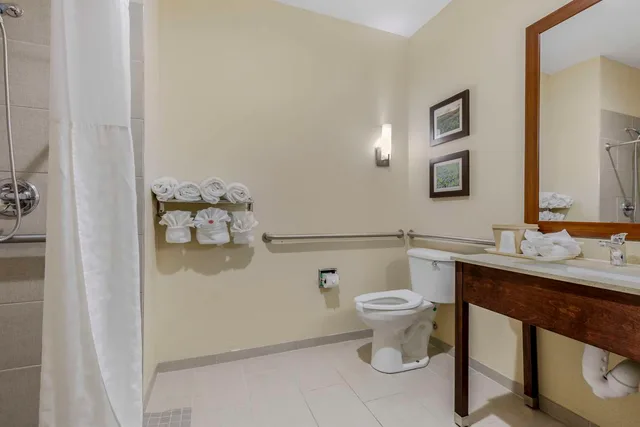 جناح بسرير كينج لذوي الإعاقة، Comfort Suites Benbrook - Fort Worth Southwest 2/4