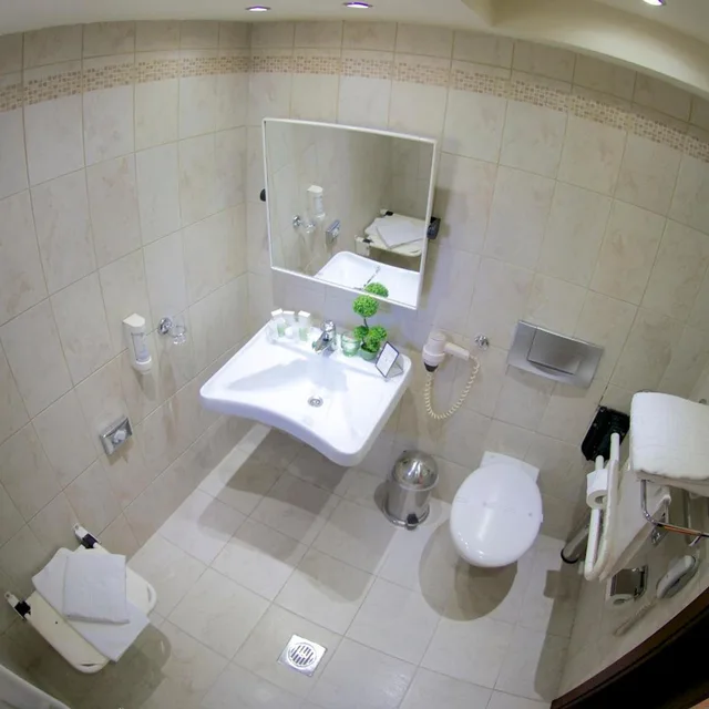 غرفة بسريرين منفصلين لذوي الإعاقة، Capsis Hotel Thessaloniki 5/10