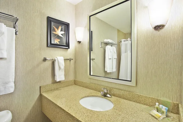 جناح بسرير كينج بغرفة نوم واحدة، Holiday Inn & Suites Green Bay Stadium 2/2