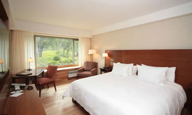 غرفة قياسية بسرير كينج، Arakur Ushuaia Resort and Spa 1/3